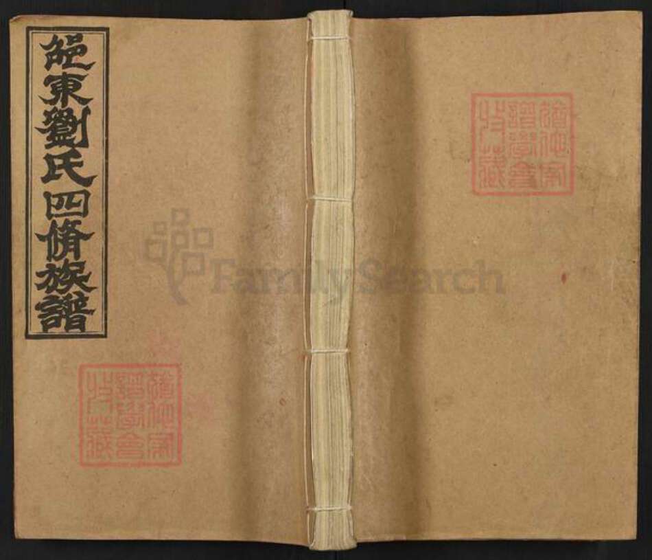 湖南省邵阳市新宁县刘氏藜照堂族谱-邵东刘氏四修族谱.pdf电子版缩略图