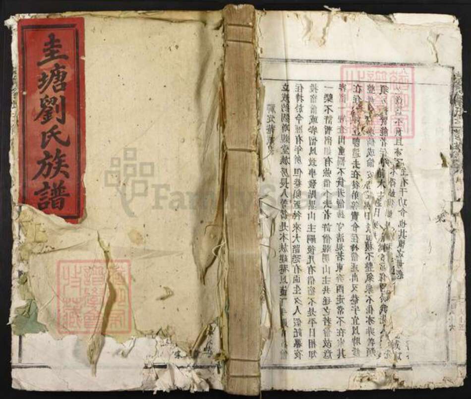 江西省吉安市泰和市刘氏尊亲堂族谱-圭塘刘氏三修族谱.pdf电子版缩略图