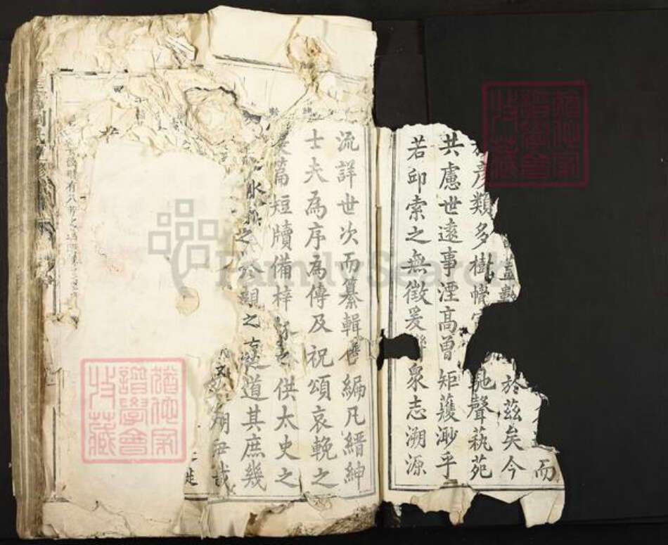 江西省吉安市泰和市刘氏族谱-圭塘刘氏重修族谱.pdf电子版预览图2