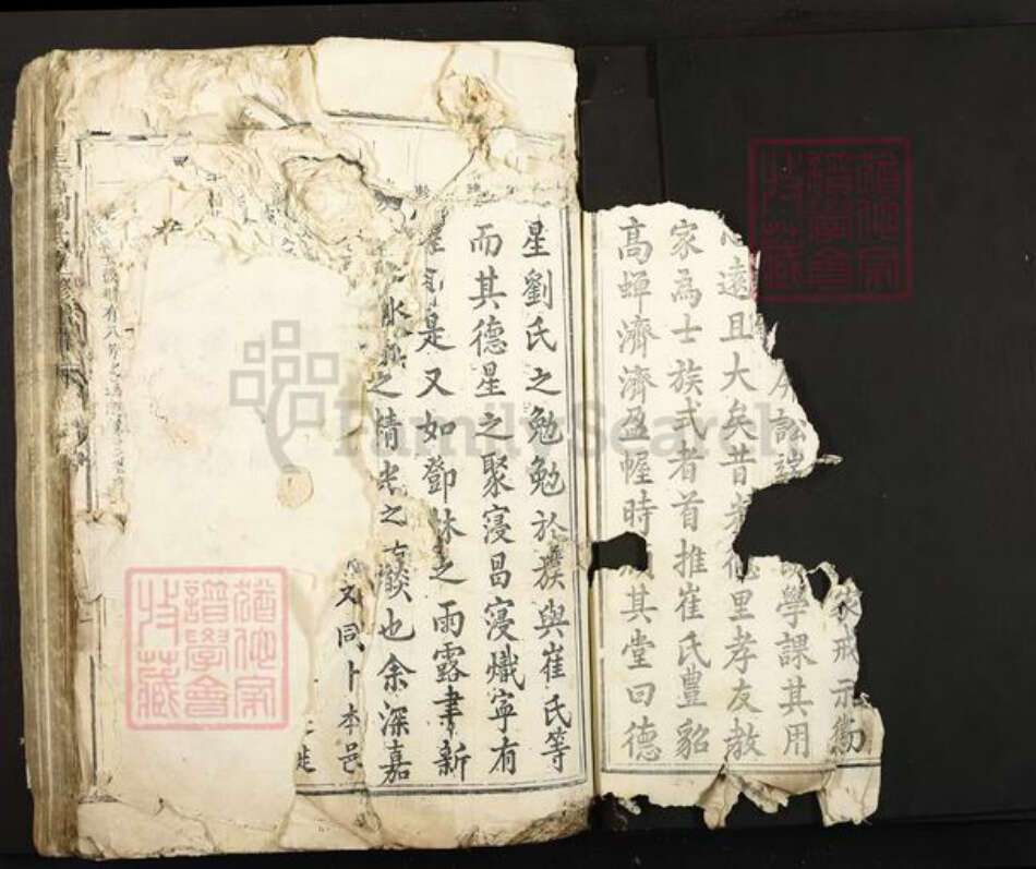 江西省吉安市泰和市刘氏族谱-圭塘刘氏重修族谱.pdf电子版预览图3