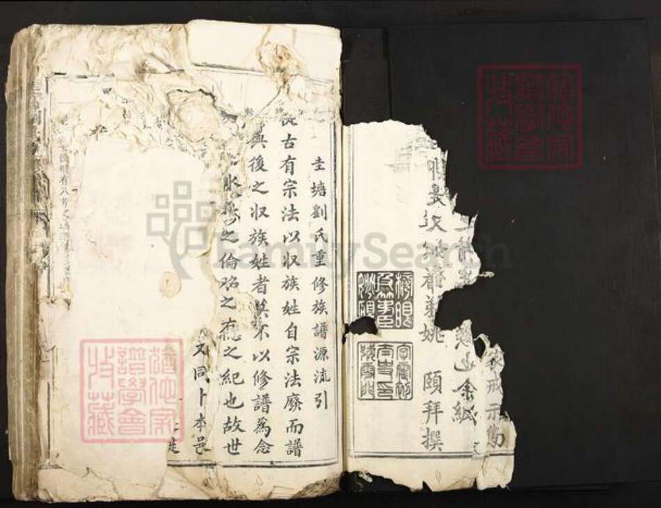 江西省吉安市泰和市刘氏族谱-圭塘刘氏重修族谱.pdf电子版预览图4