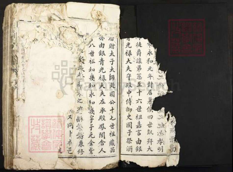 江西省吉安市泰和市刘氏族谱-圭塘刘氏重修族谱.pdf电子版预览图5