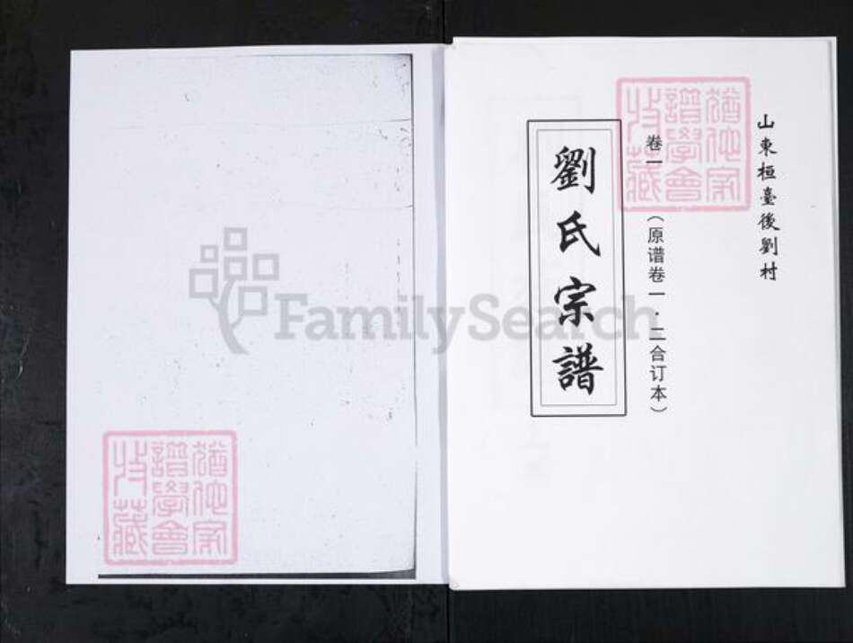 山东省淄博市刘氏族谱-刘氏族谱.山东桓台后刘村[上下卷].pdf电子版缩略图