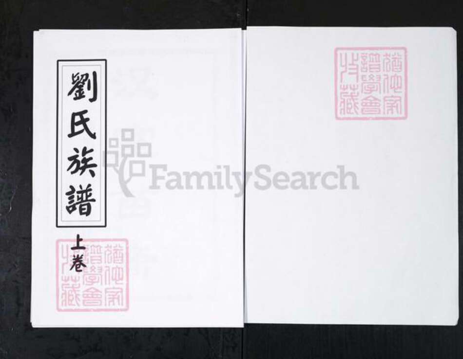 山东省淄博市刘氏族谱-刘氏族谱.山东桓台后刘村[上下卷].pdf电子版预览图1