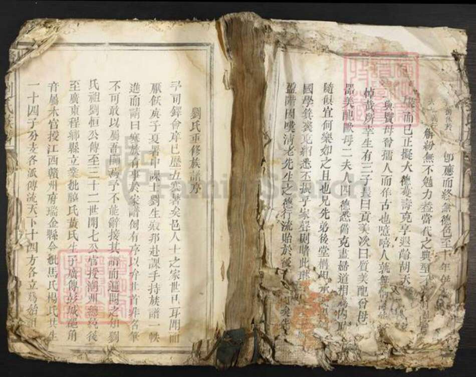 江西省赣州市瑞金市刘氏仁智堂族谱-赣会刘氏族谱.pdf电子版缩略图