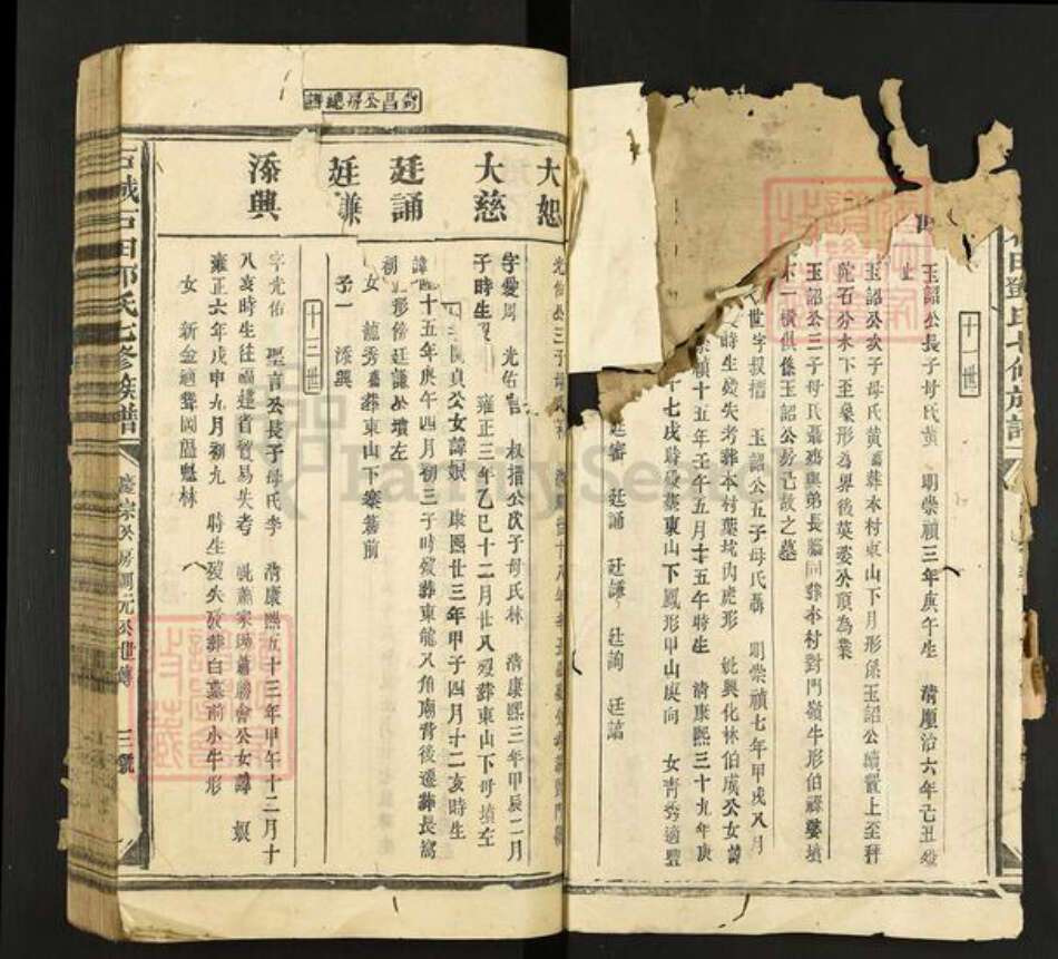 江西省赣州市石城县小松镇刘氏族谱-石城石田刘氏七修族谱.pdf电子版预览图2