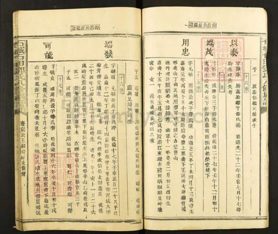 江西省赣州市石城县小松镇刘氏族谱-石城石田刘氏八修族谱.pdf电子版预览图4