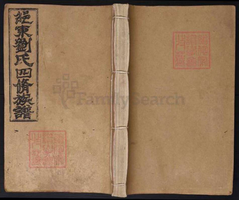 湖南省邵阳市邵东刘氏黎照堂族谱-纲塘.大坪.乌龙刘氏四修族谱.pdf电子版缩略图