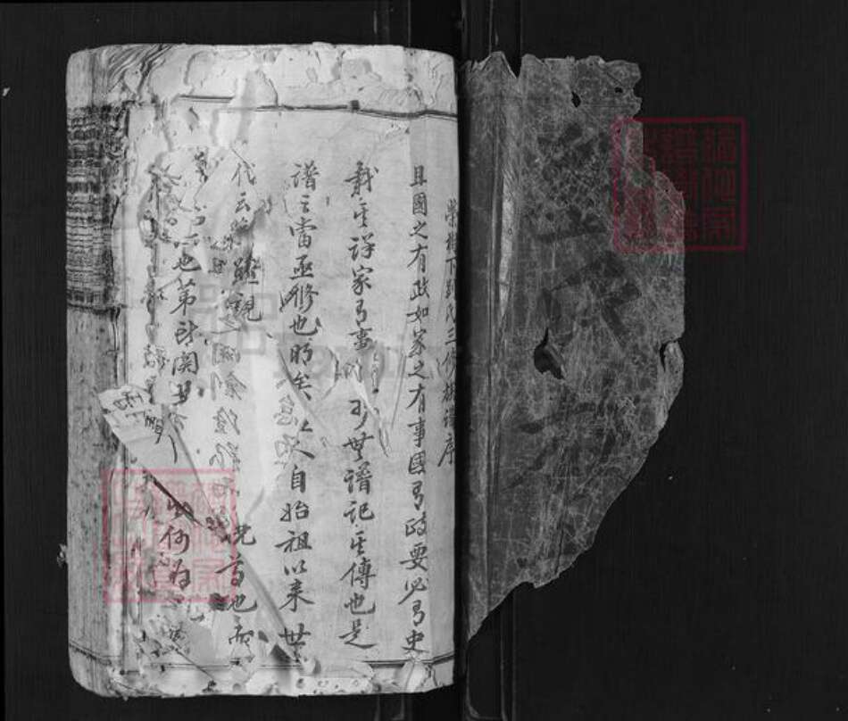 江西省赣州市瑞金市刘氏族谱-瑞金荣树下刘氏三修族谱.pdf电子版预览图1