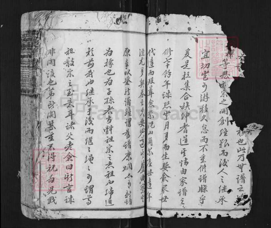 江西省赣州市瑞金市刘氏族谱-瑞金荣树下刘氏三修族谱.pdf电子版预览图2