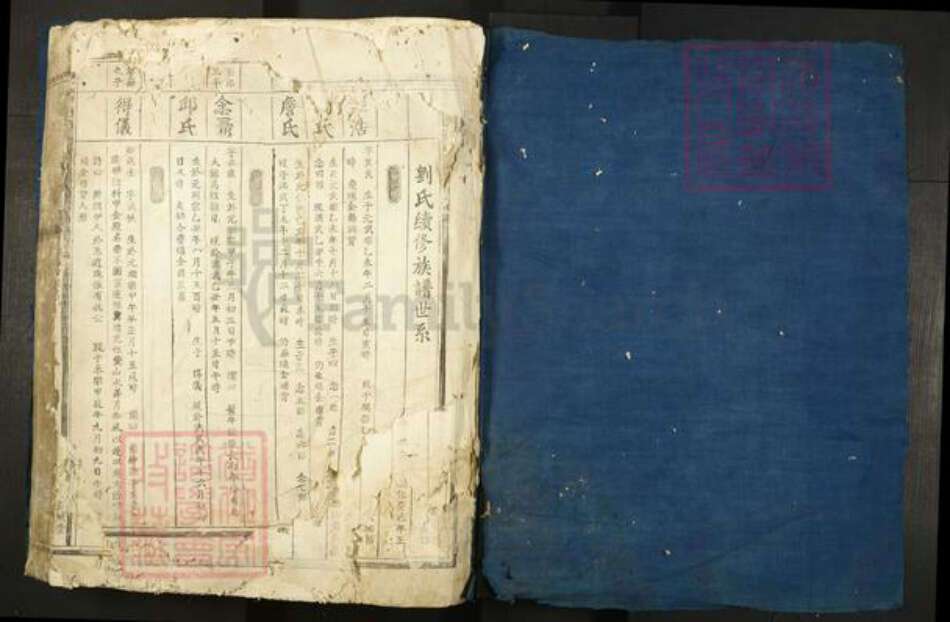 江西省赣州市信丰县小江镇刘氏彭城堂族谱-康邑九江阴坑刘氏续修族谱.pdf电子版预览图1