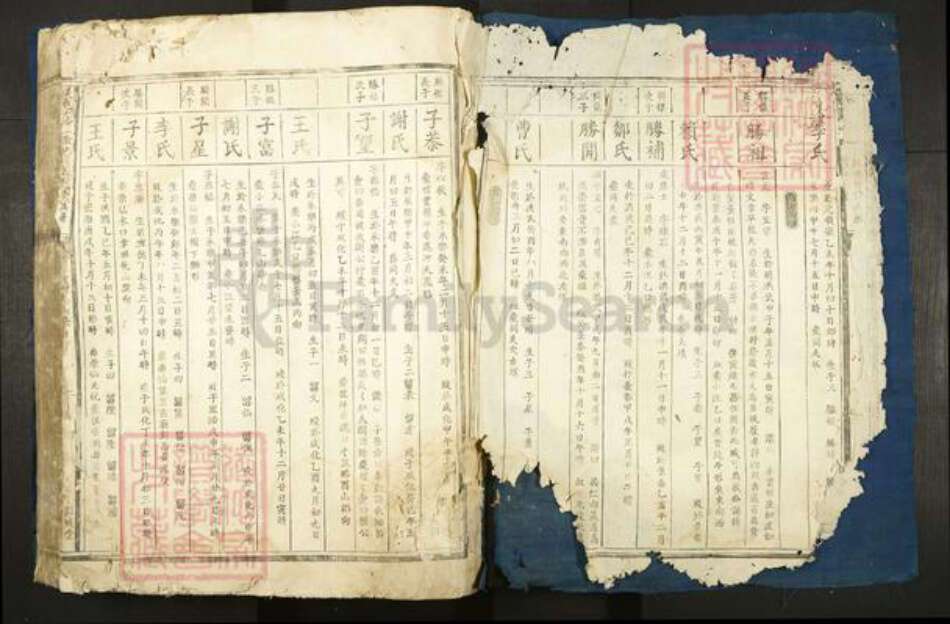 江西省赣州市信丰县小江镇刘氏彭城堂族谱-康邑九江阴坑刘氏续修族谱.pdf电子版预览图2