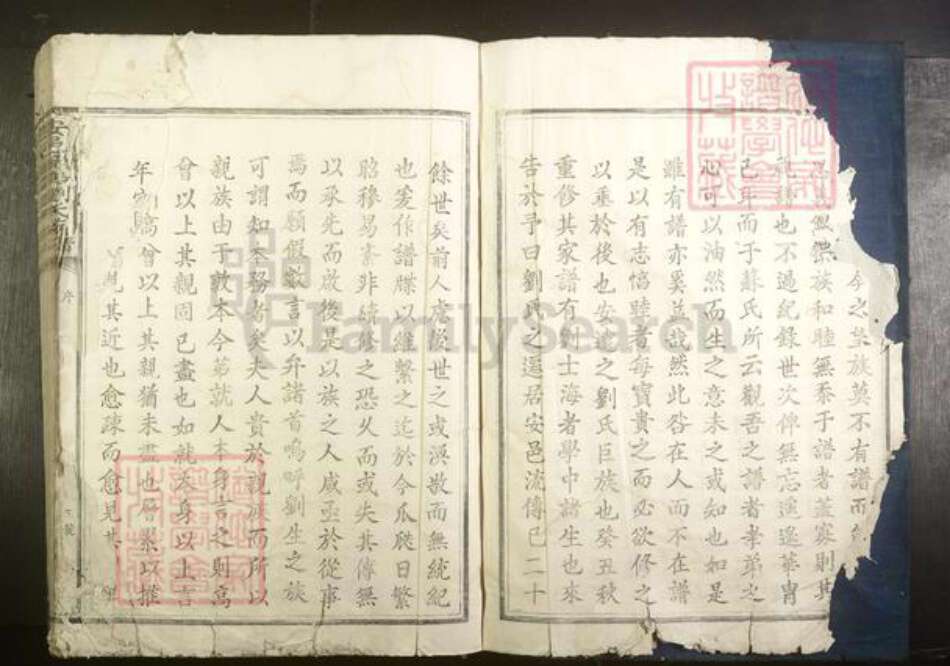 江西省赣州市安远县刘氏族谱-安邑濂南刘氏族谱[不分卷].pdf电子版预览图5