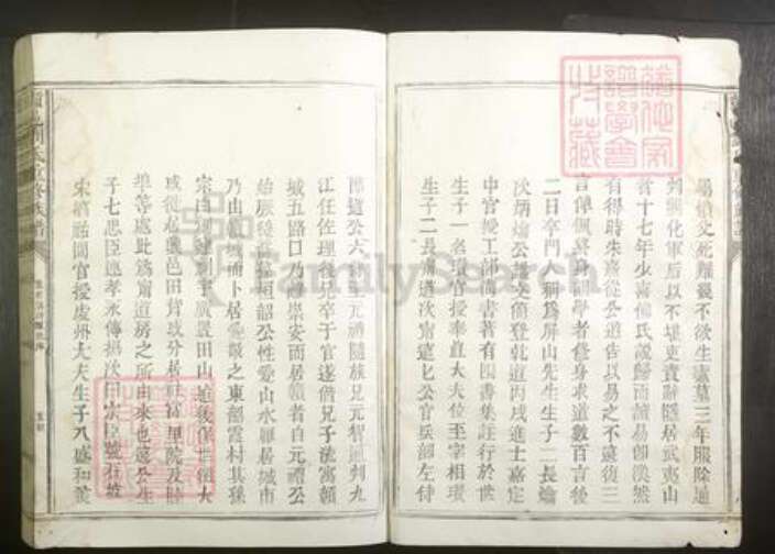 江西省赣州市刘氏族谱-赣邑刘氏重修族谱[不分卷].pdf电子版预览图5