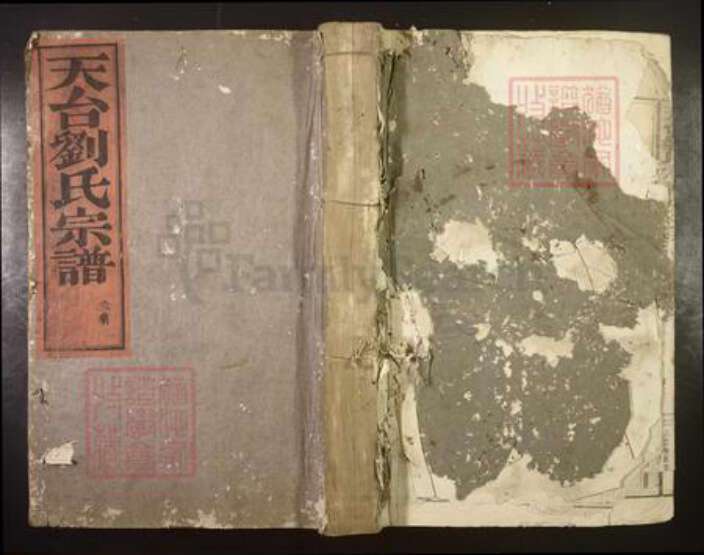 浙江省台州市天台县刘氏族谱-天台刘氏宗谱[10卷].pdf电子版缩略图