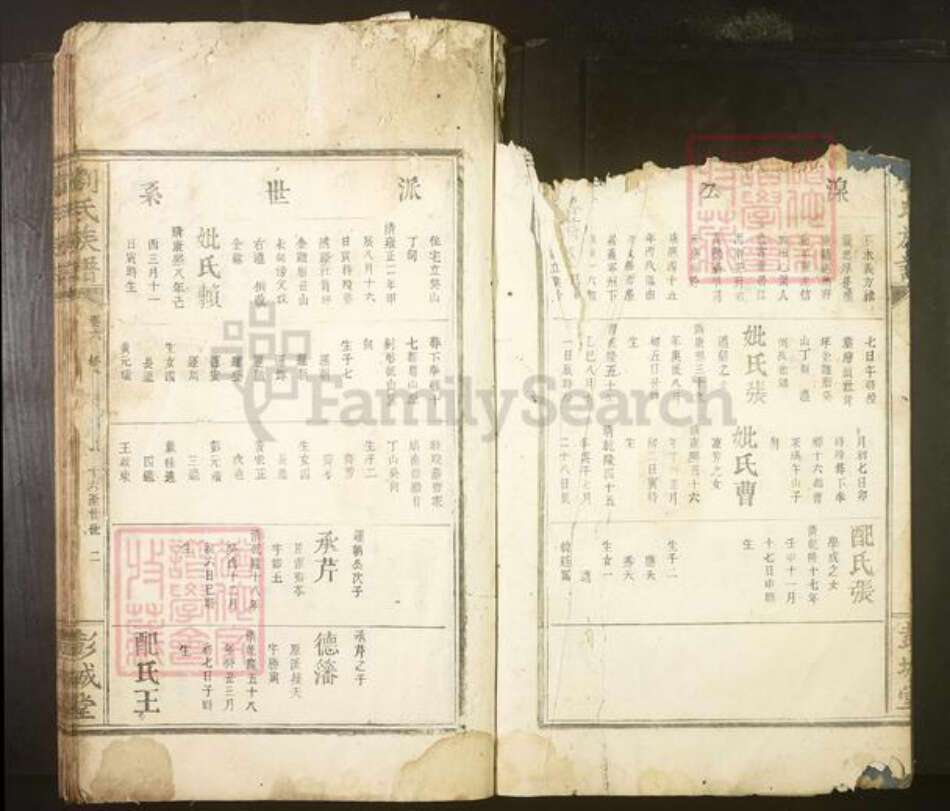 江西省抚州市广昌县刘氏族谱-刘氏族谱.pdf电子版预览图2