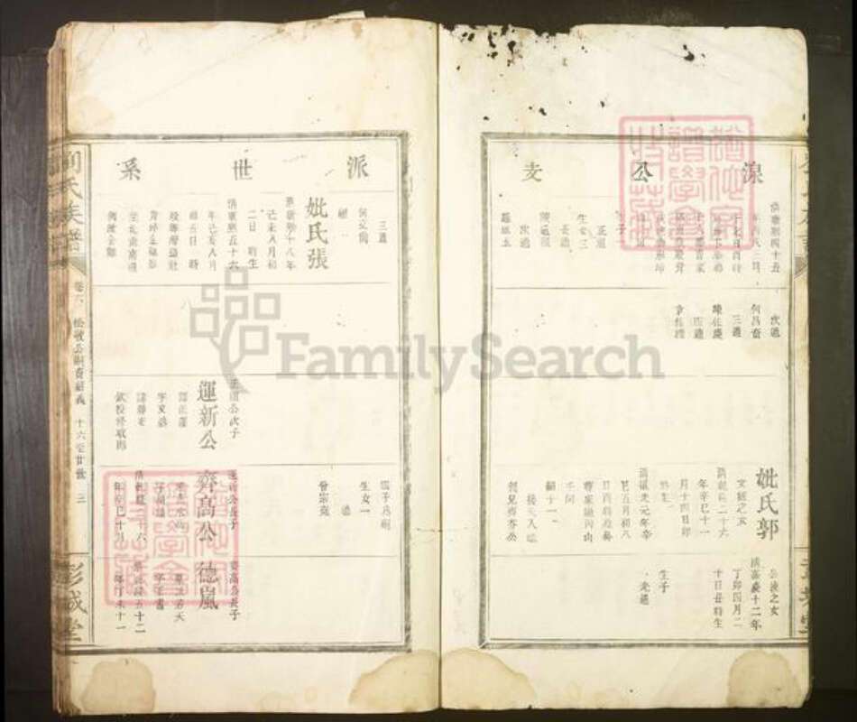 江西省抚州市广昌县刘氏族谱-刘氏族谱.pdf电子版预览图3