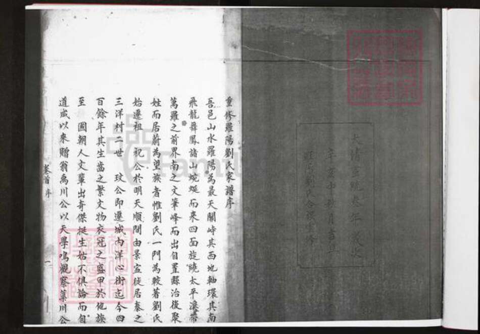 浙江省温州市泰顺县刘氏族谱-罗阳刘氏宗谱.pdf电子版预览图2