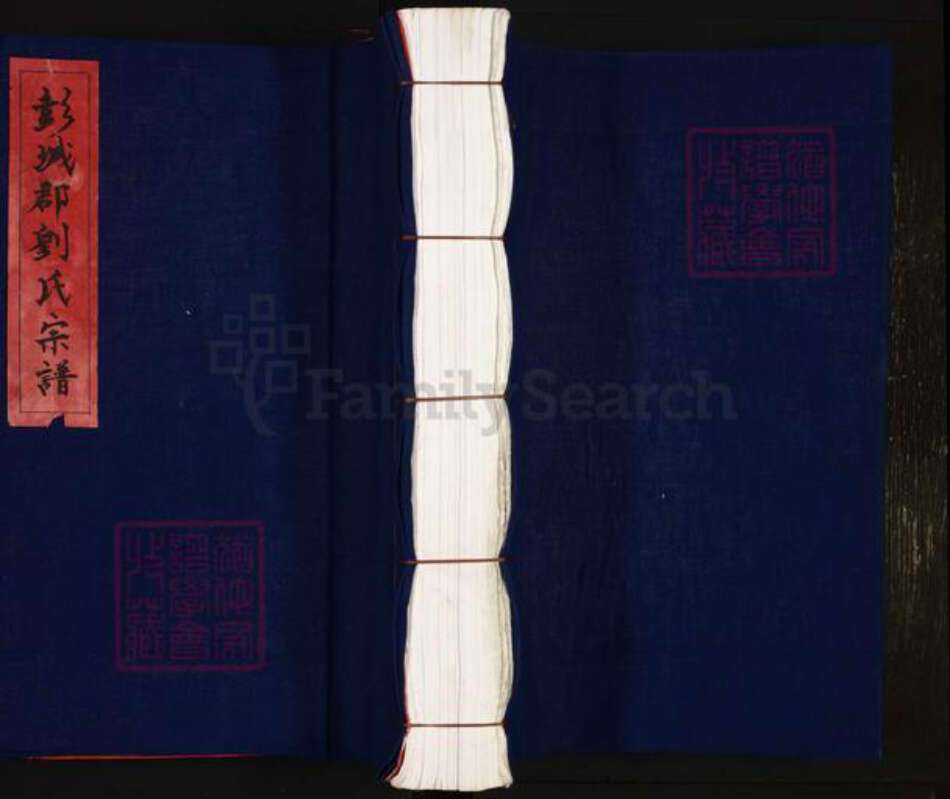 浙江省温州市泰顺县刘氏族谱-彭城郡刘氏宗谱.pdf电子版缩略图