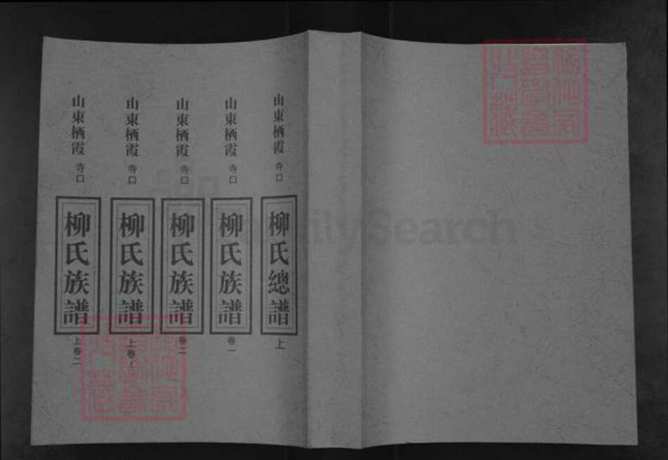 山东省烟台市龙口市柳氏族谱-山东栖霞寺口柳氏总谱.pdf电子版缩略图
