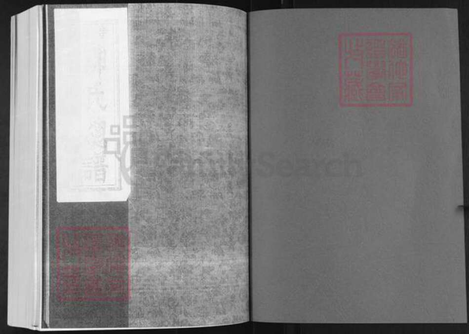 山东省烟台市龙口市柳氏族谱-山东栖霞寺口柳氏总谱.pdf电子版预览图1