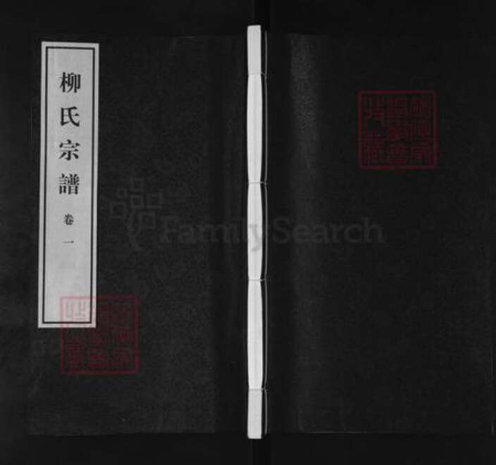 江苏省无锡市江阴市临港街道柳氏敦睦堂族谱-柳氏宗谱.pdf电子版缩略图