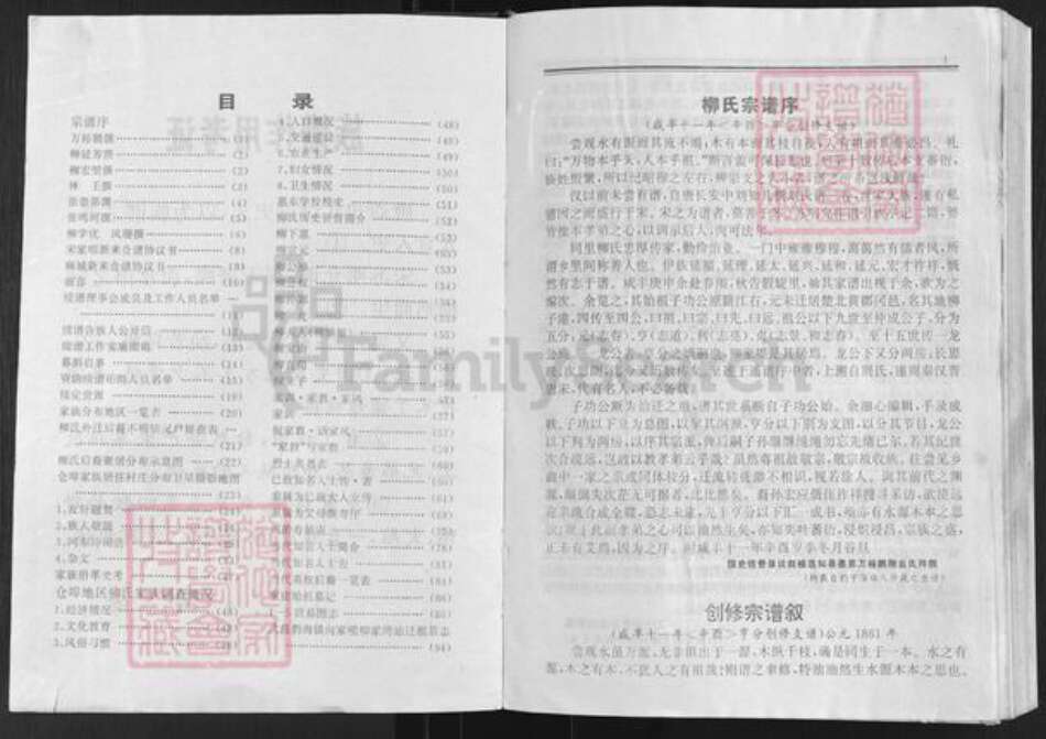 湖北省武汉市新洲区凤凰镇柳氏绍惠堂族谱-柳氏宗谱.pdf电子版预览图4