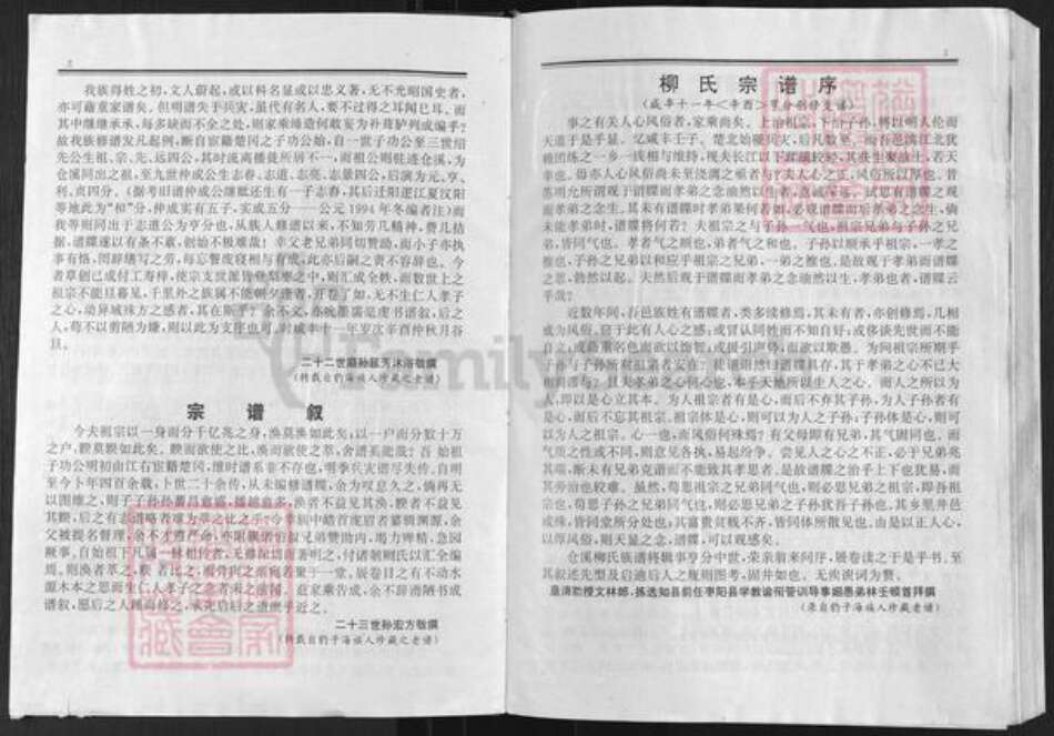 湖北省武汉市新洲区凤凰镇柳氏绍惠堂族谱-柳氏宗谱.pdf电子版预览图5