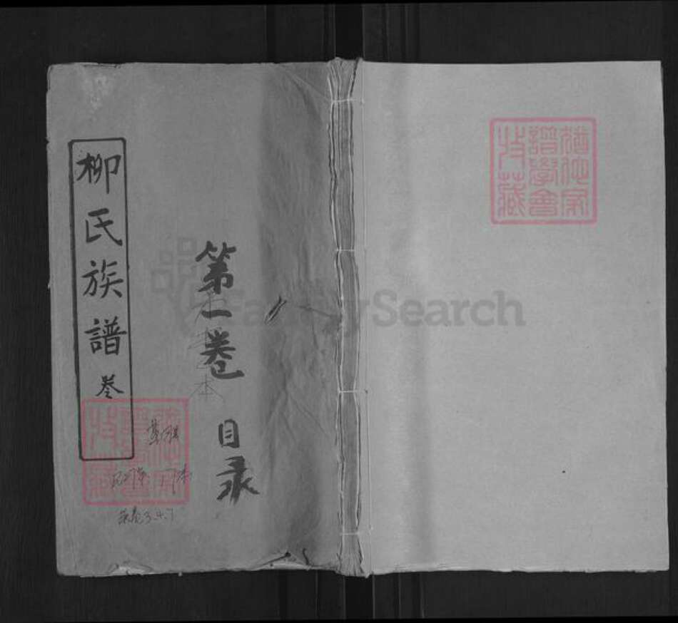 湖北省武汉市新洲区柳氏正心堂族谱-柳氏族谱.pdf电子版缩略图