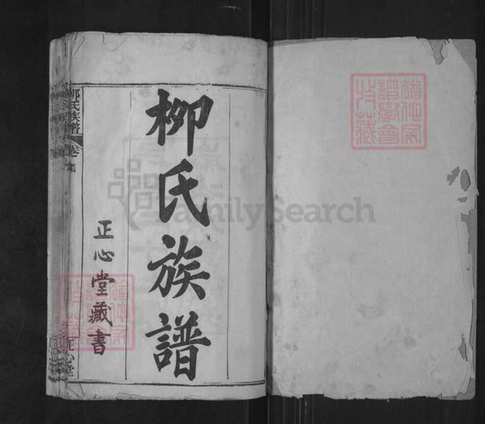 湖北省武汉市新洲区柳氏正心堂族谱-柳氏族谱.pdf电子版预览图1