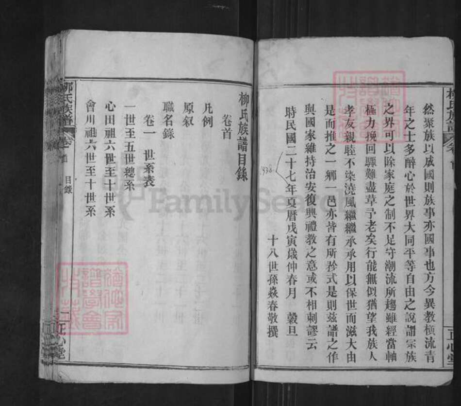 湖北省武汉市新洲区柳氏正心堂族谱-柳氏族谱.pdf电子版预览图4