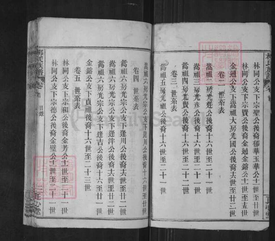 湖北省武汉市新洲区柳氏正心堂族谱-柳氏族谱.pdf电子版预览图5