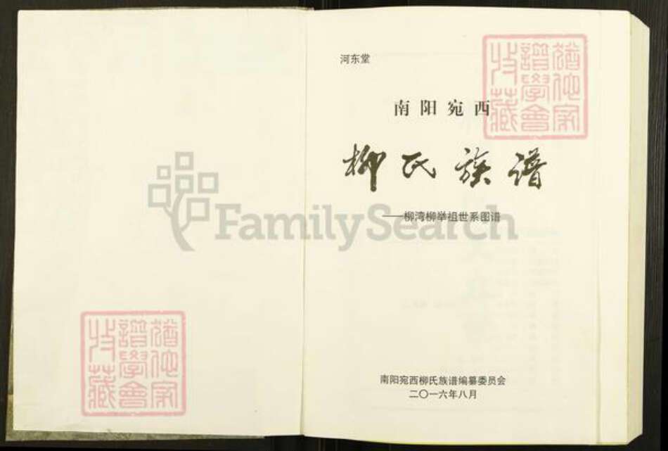 河南省南阳市卧龙区王村乡柳氏河东堂族谱-柳氏家谱.pdf电子版预览图1