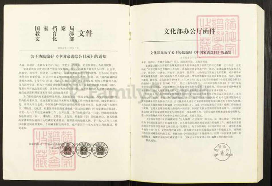 河南省南阳市卧龙区王村乡柳氏河东堂族谱-柳氏家谱.pdf电子版预览图5