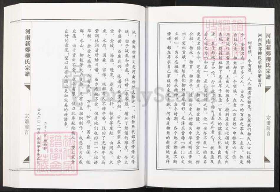 河南省郑州市新郑市柳氏族谱-河南新郑柳氏宗谱.pdf电子版预览图3