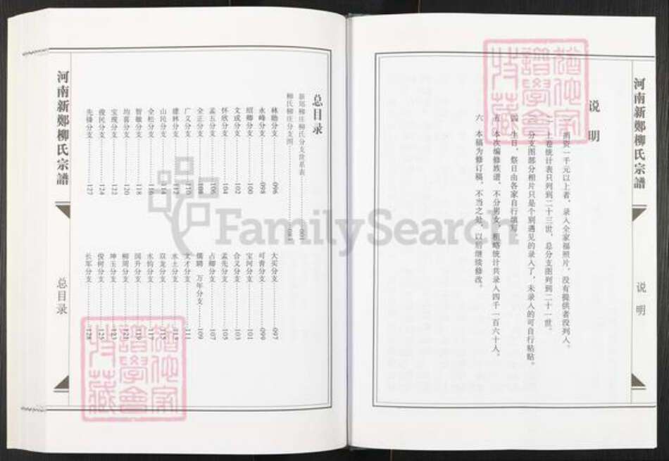 河南省郑州市新郑市柳氏族谱-河南新郑柳氏宗谱.pdf电子版预览图4