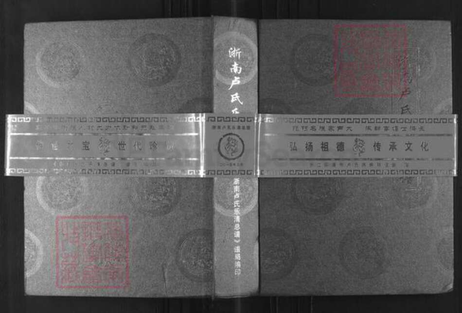 浙江省温州市乐清市蒲岐镇卢氏族谱-浙南卢氏乐清总谱.pdf电子版缩略图