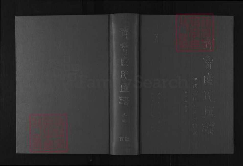 山东省济南市长清区卢氏族谱-齐鲁卢氏汇谱.pdf电子版缩略图