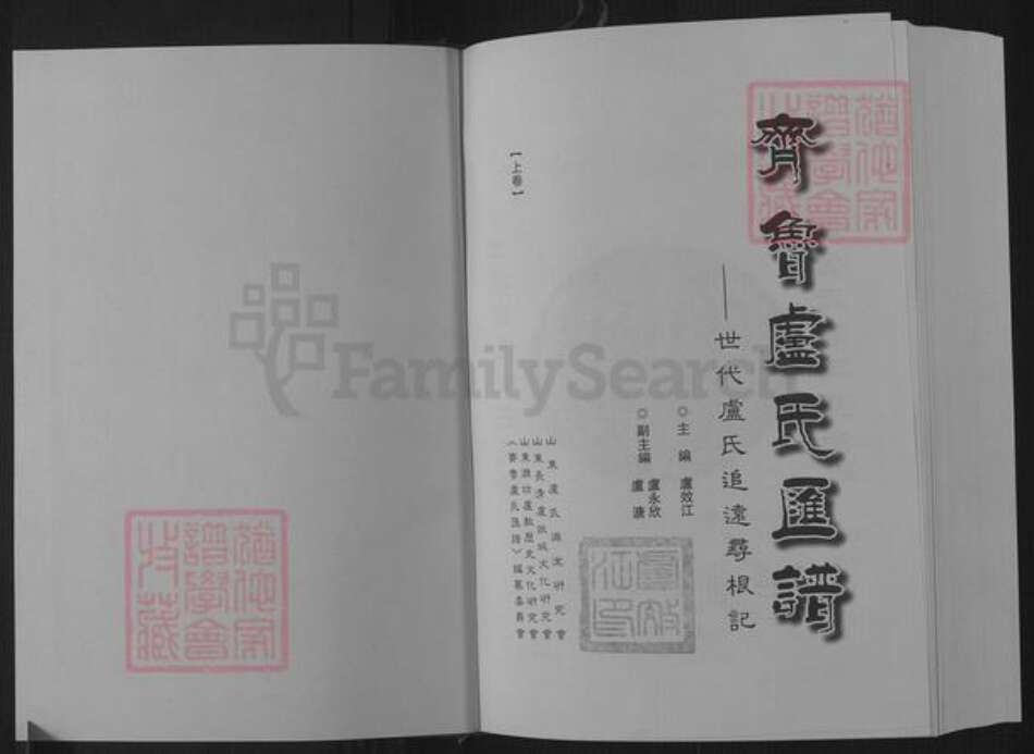 山东省济南市长清区卢氏族谱-齐鲁卢氏汇谱.pdf电子版预览图1