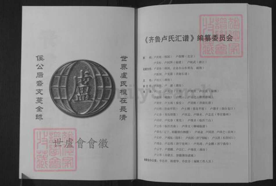 山东省济南市长清区卢氏族谱-齐鲁卢氏汇谱.pdf电子版预览图2