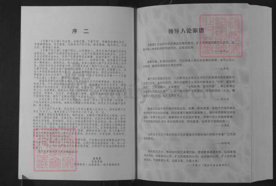 山东省济南市长清区卢氏族谱-齐鲁卢氏汇谱.pdf电子版预览图5