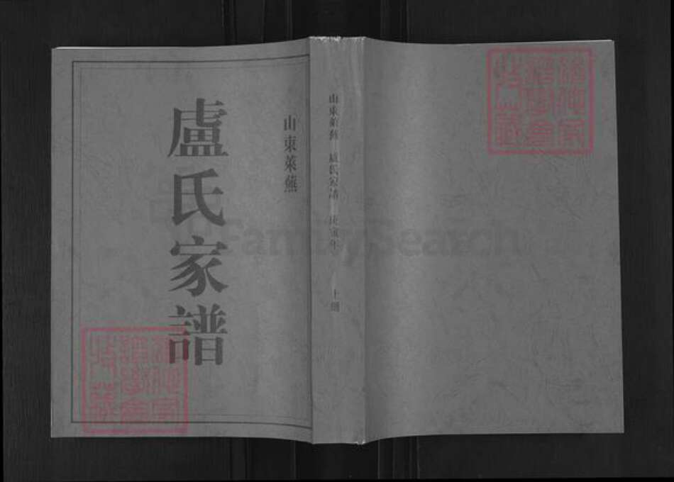 山东省济南市莱芜区羊里镇卢氏族谱-莱芜卢氏家谱.pdf电子版缩略图