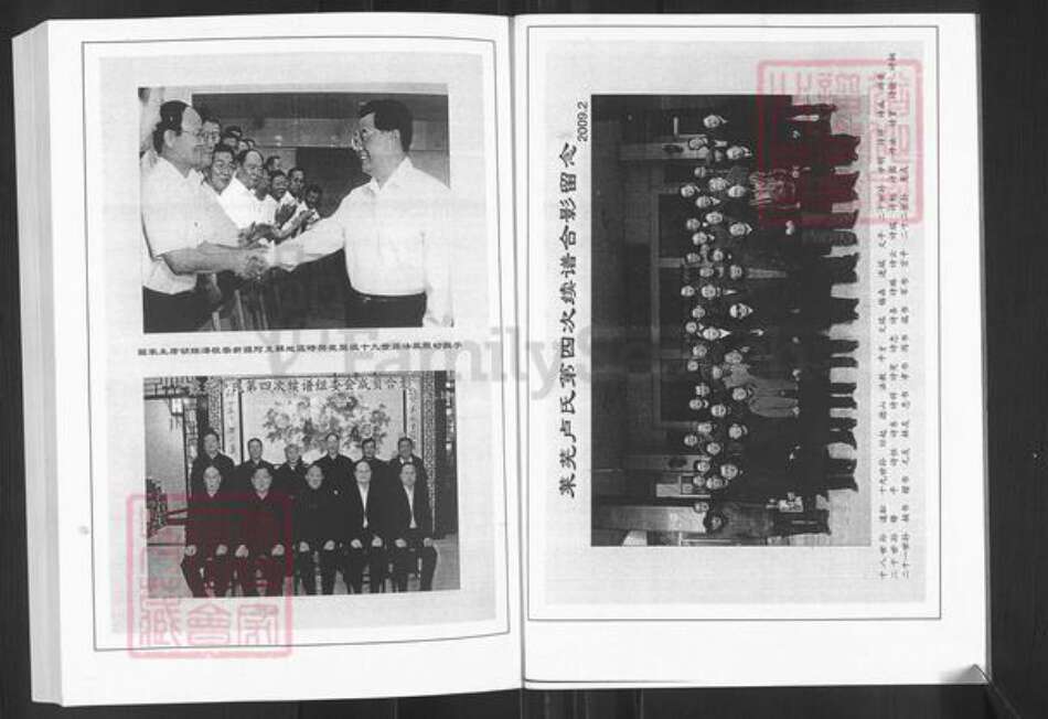 山东省济南市莱芜区羊里镇卢氏族谱-莱芜卢氏家谱.pdf电子版预览图3