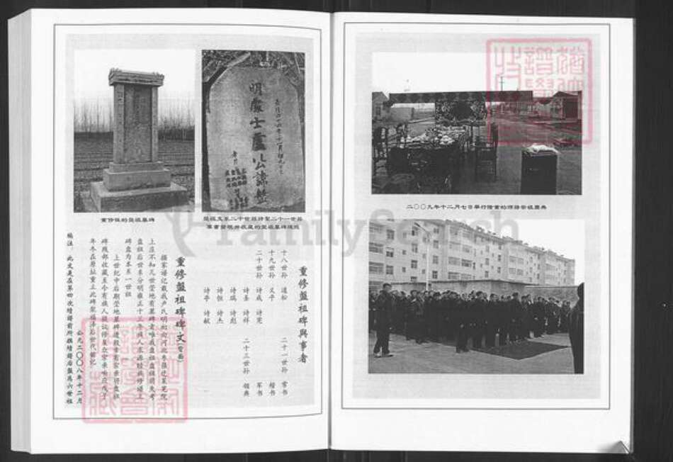 山东省济南市莱芜区羊里镇卢氏族谱-莱芜卢氏家谱.pdf电子版预览图4