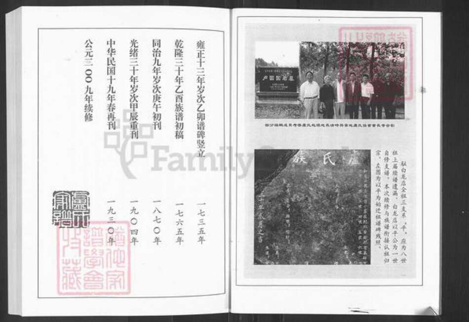 山东省济南市莱芜区羊里镇卢氏族谱-莱芜卢氏家谱.pdf电子版预览图5