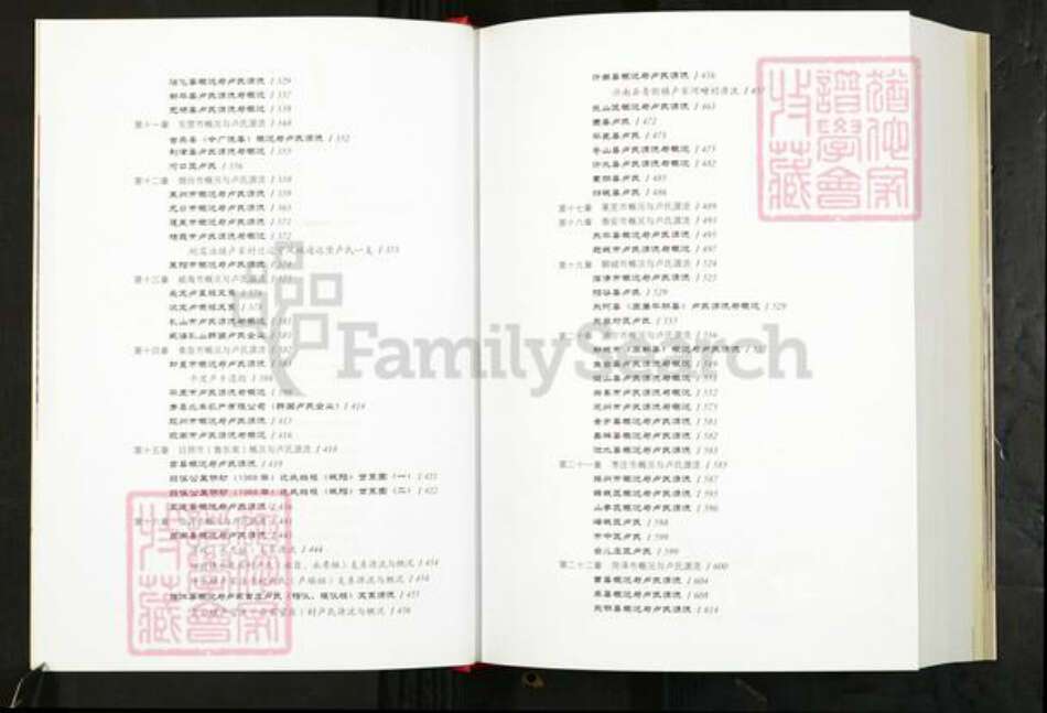 山东省卢氏族谱-齐鲁卢氏汇谱.pdf电子版预览图3