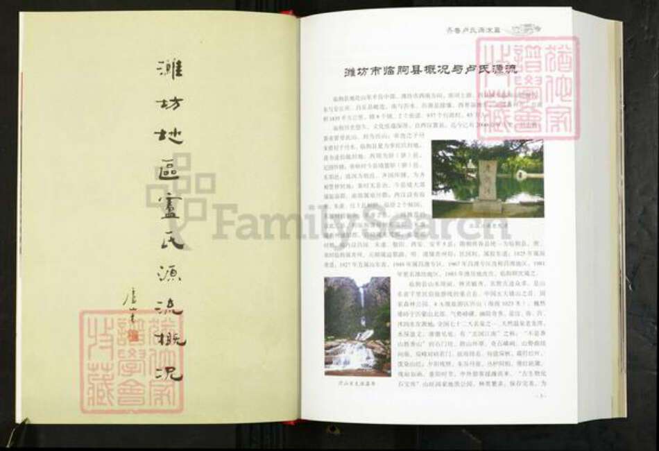 山东省卢氏族谱-齐鲁卢氏汇谱.pdf电子版预览图5