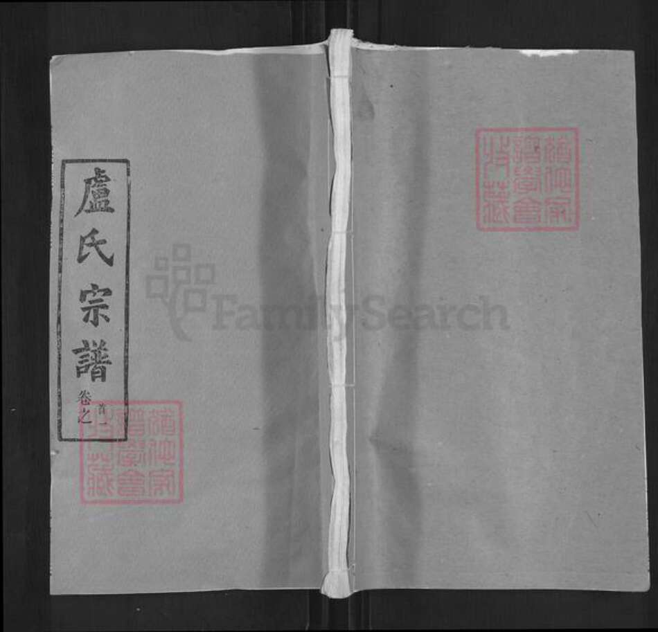 湖北省武汉市新洲区卢氏楷模堂族谱-卢氏宗谱.pdf电子版缩略图