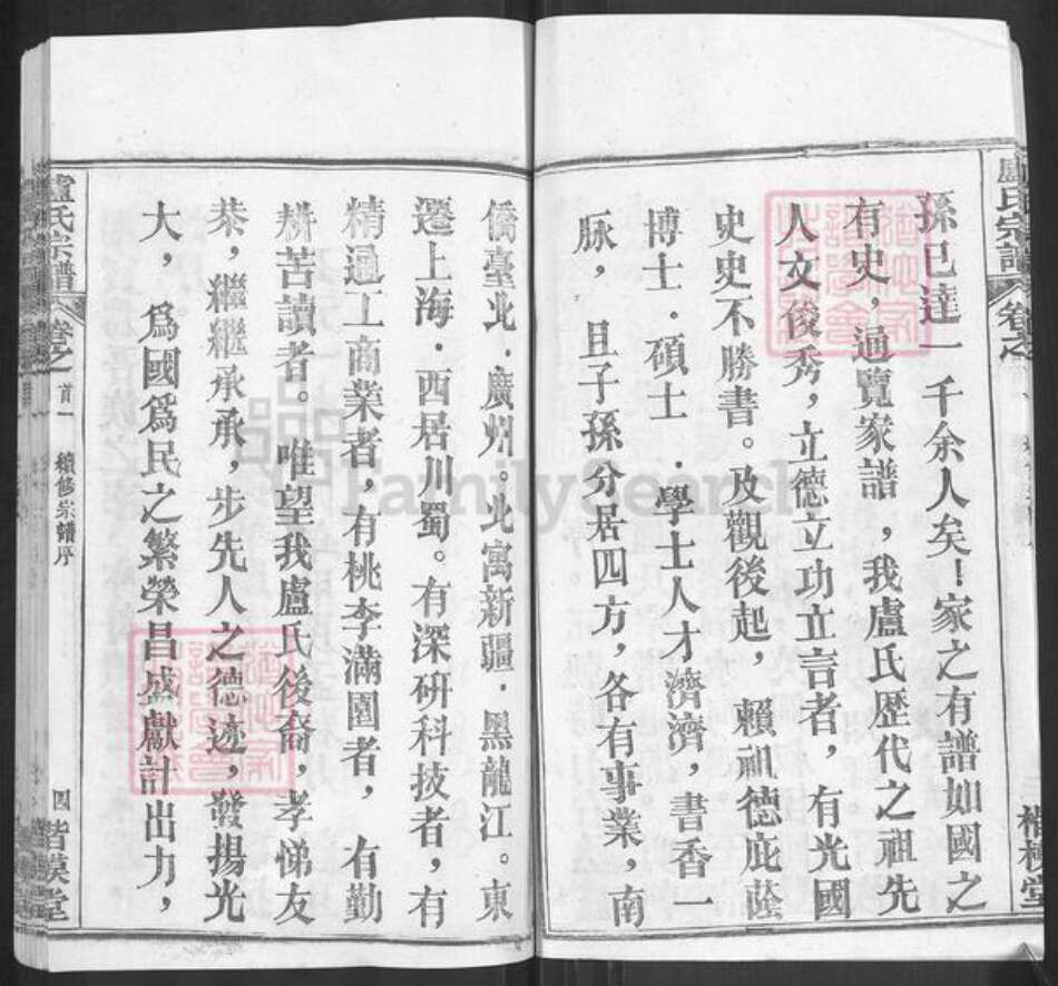 湖北省武汉市新洲区卢氏楷模堂族谱-卢氏宗谱.pdf电子版预览图4