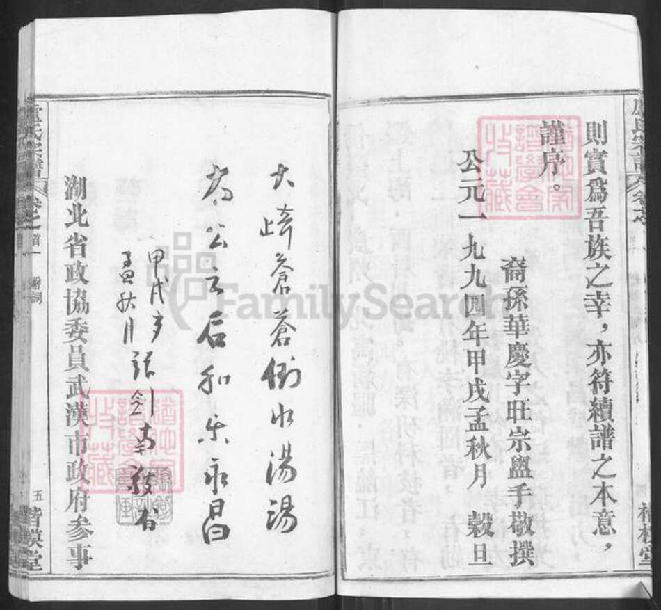 湖北省武汉市新洲区卢氏楷模堂族谱-卢氏宗谱.pdf电子版预览图5